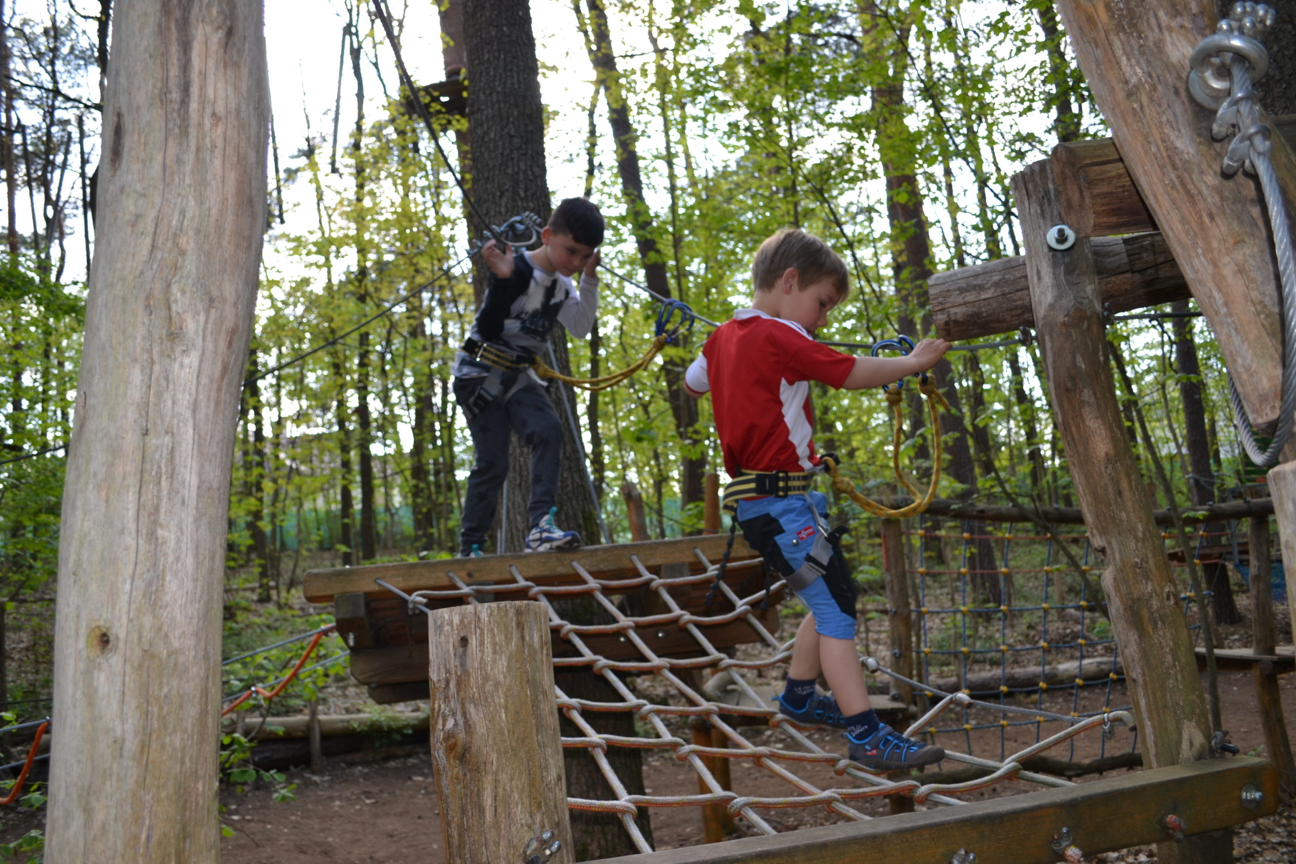 MINIS: Sport in luftiger Höhe – Bambini-Kletterparcour Grünheide