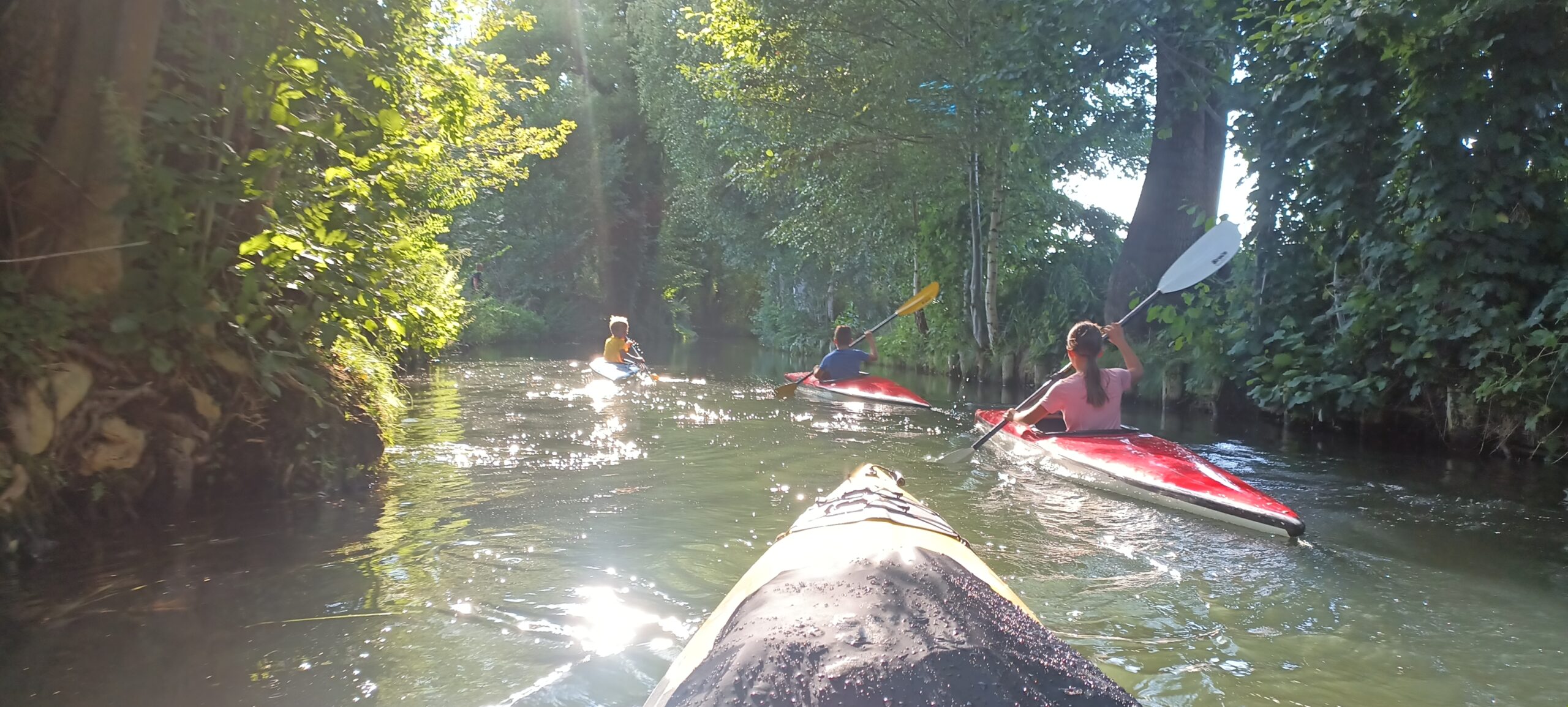Kajaks im Spreewald