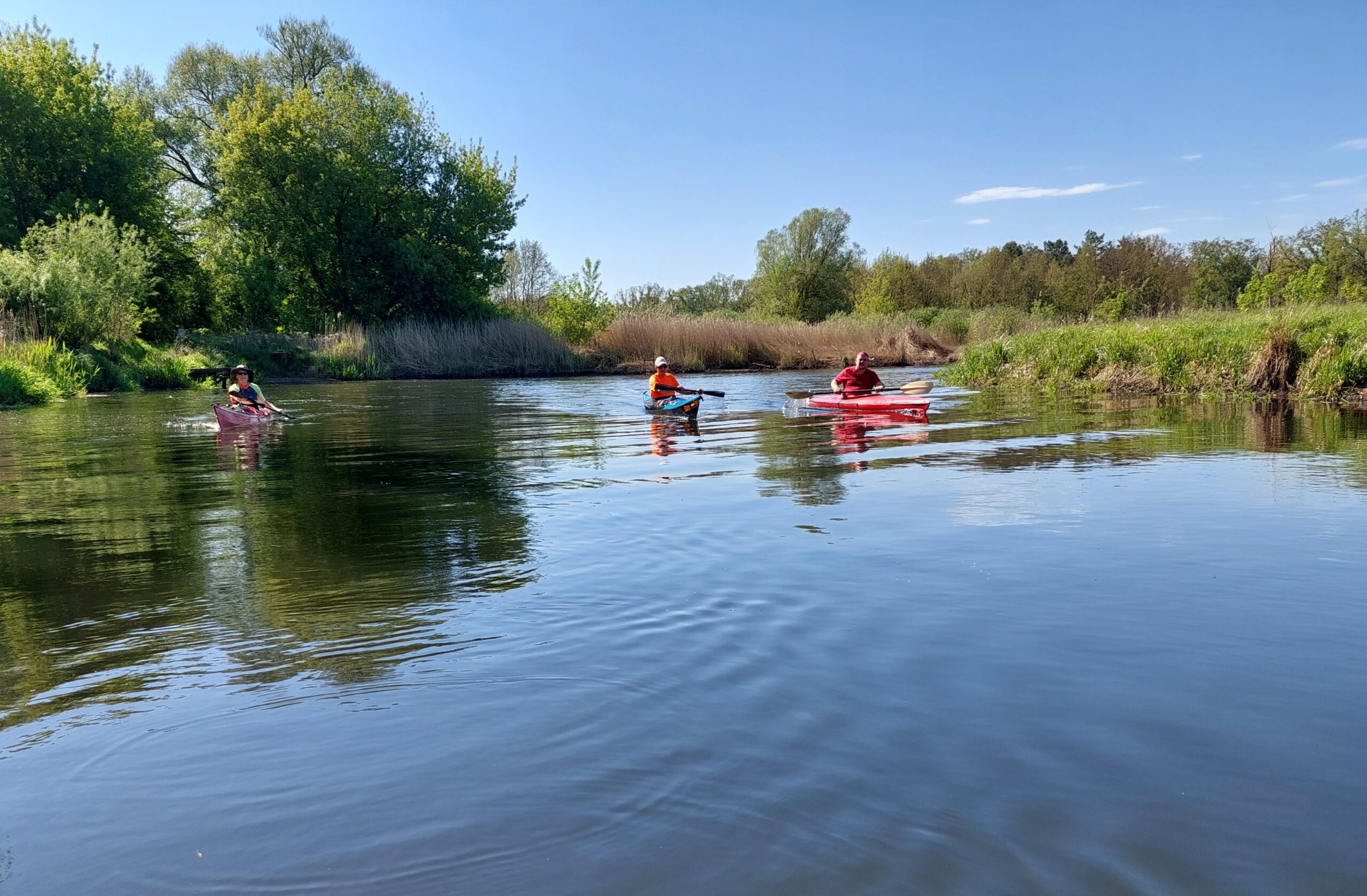 Erwachsene der Feierabendrunde im Kajak auf der Spree