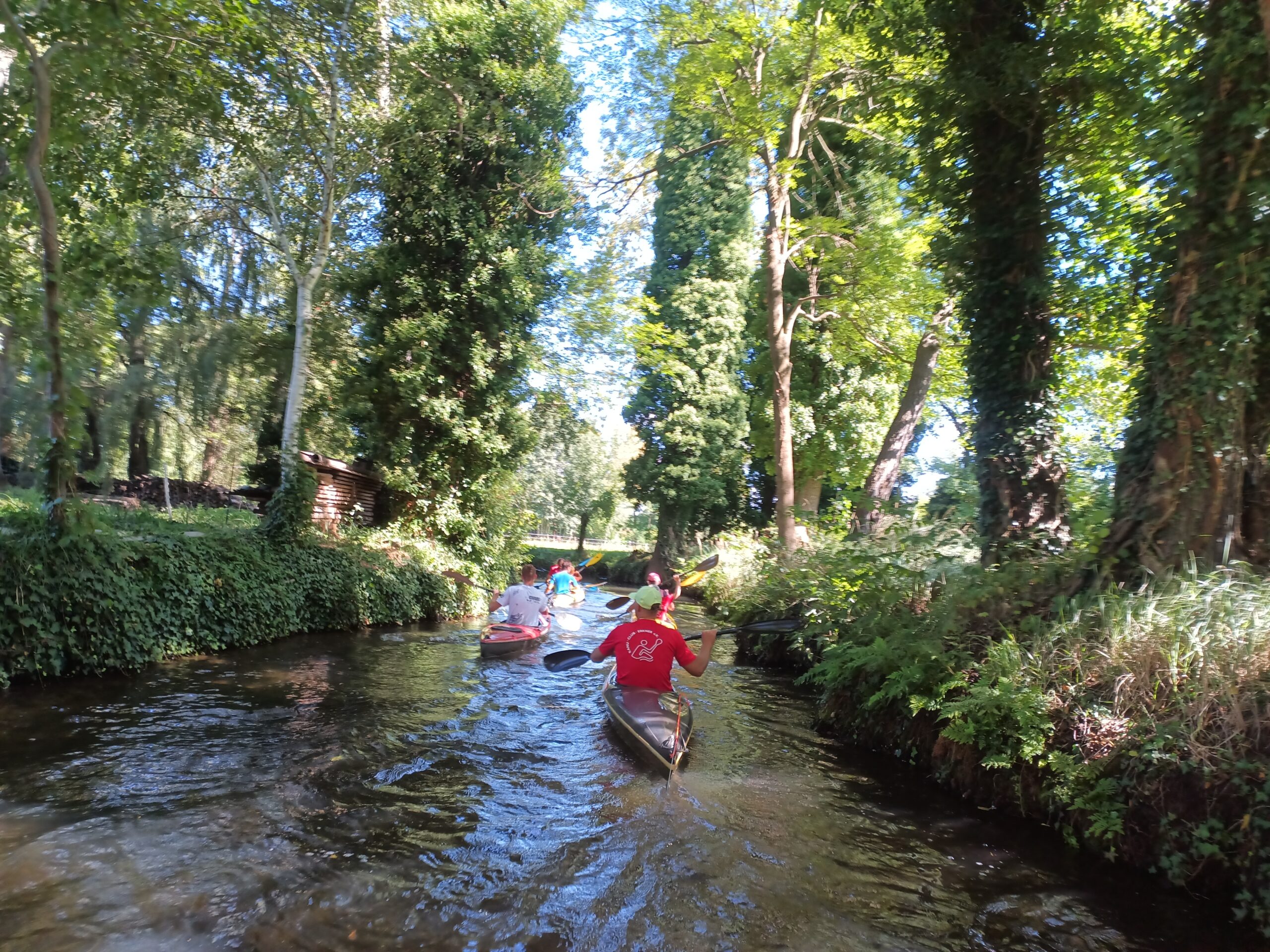 Paddeln durch die Fließe des Spreewaldes