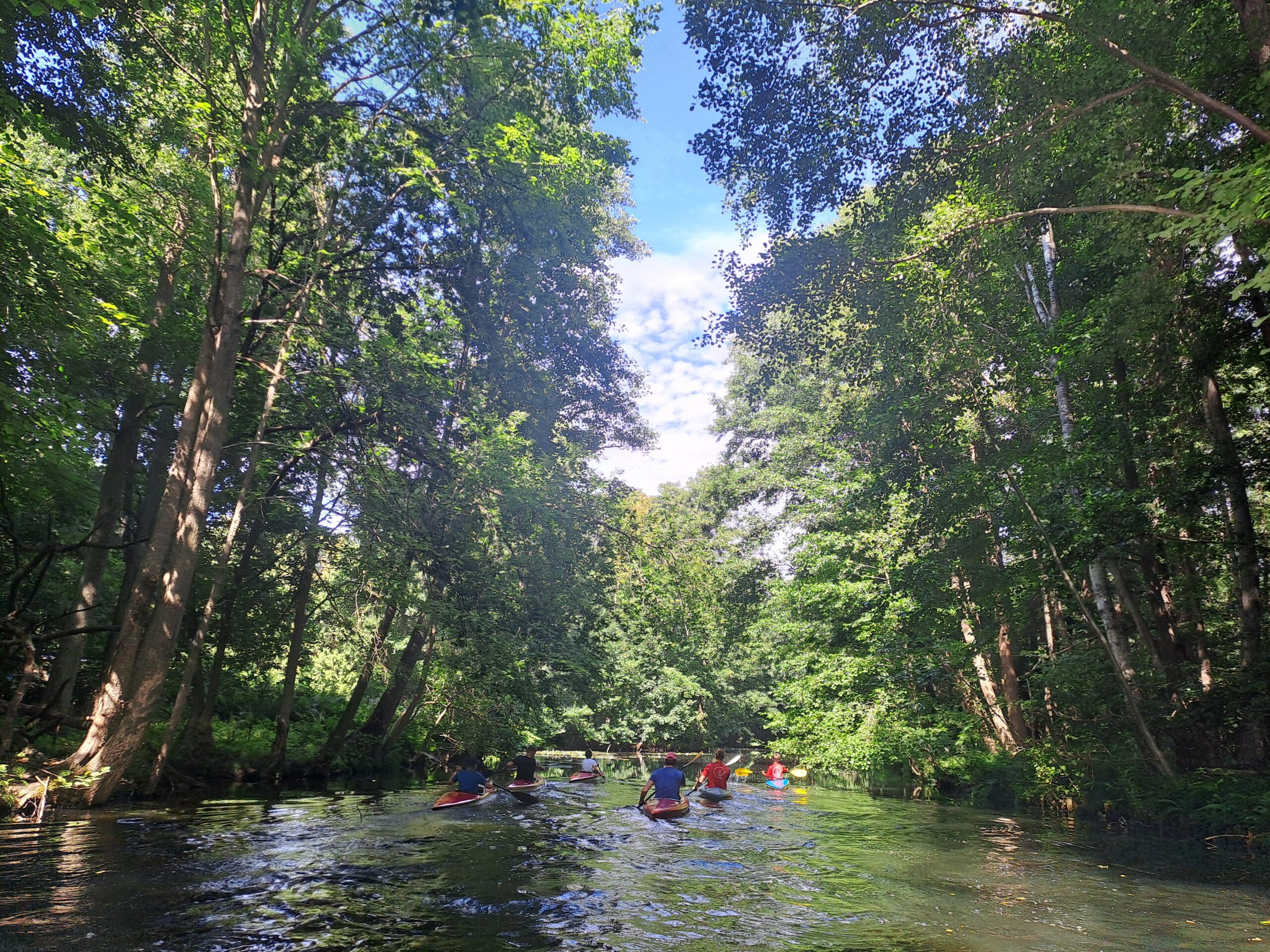Kanuten auf einem schmalen Fluss zwischen hohen Bäumen bei Gosen