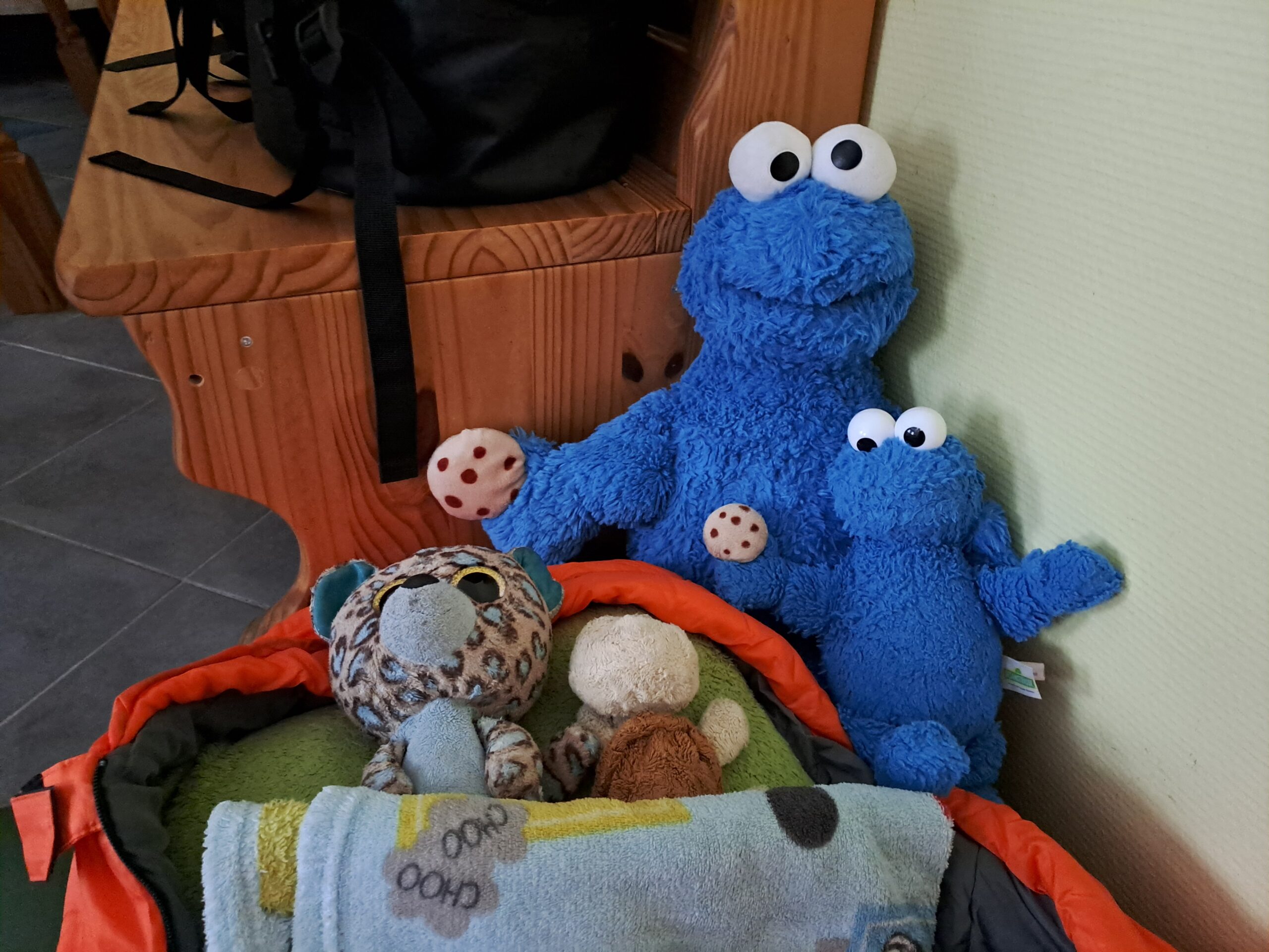 Reisebegleiter einer Sommerfahrt: Kuscheltiere im Gepäck