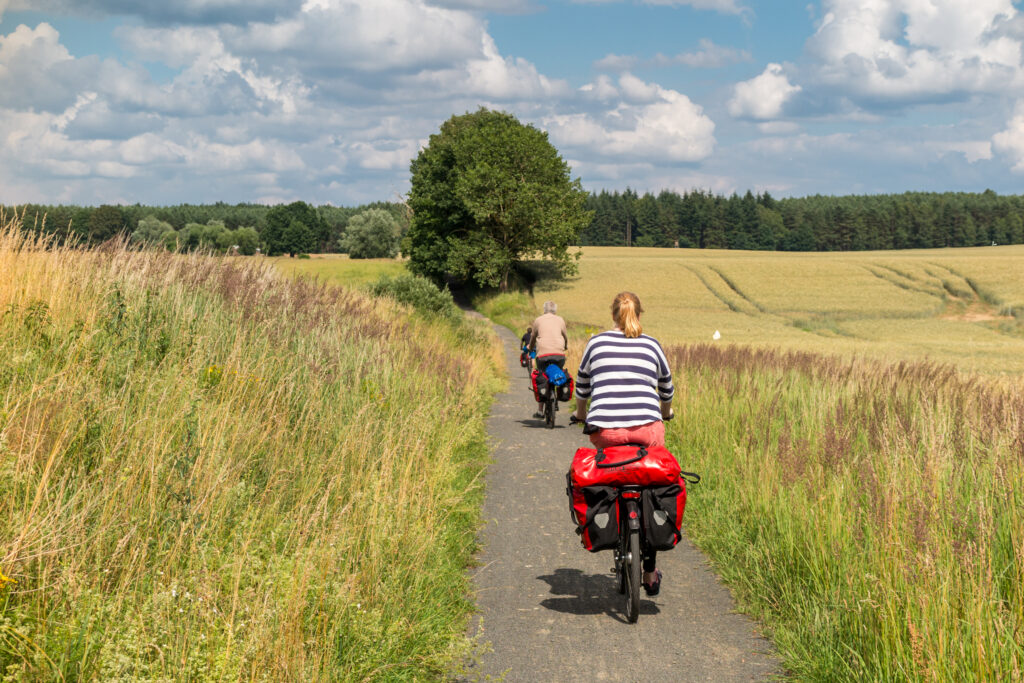 Zwei Radfahrer mit Gepäcktaschen auf einem Feldweg zwischen Kornfeldern