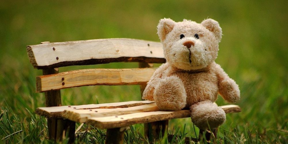 Erkneraner Kanuverein nimmt an Kuscheltier-Jagd der Stadt Erkner mit Vereinsmaskottchen IMO teil
